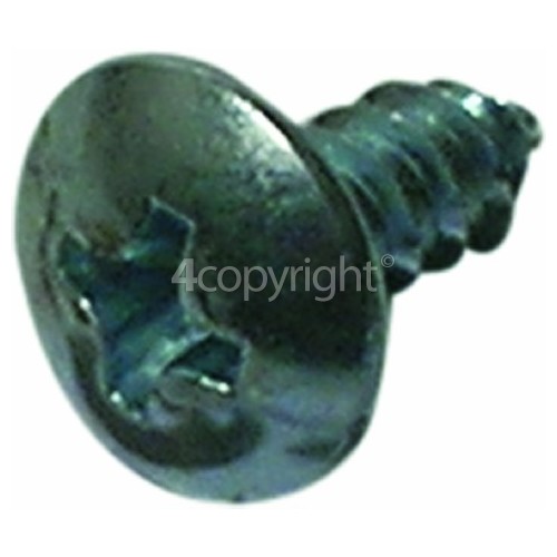 Delonghi GSS601 Door Glass Securing Screw