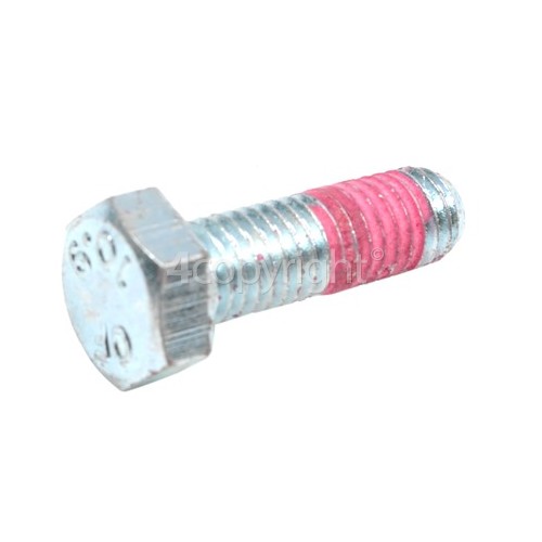 Hotpoint WF541P Pulley Retaining Bolt