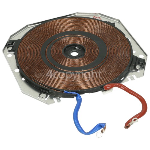 DeDietrich Inductor / Induction Coil Ring Hotplate