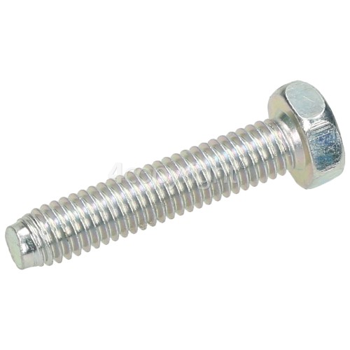 Screw Bolt M6 Ž30