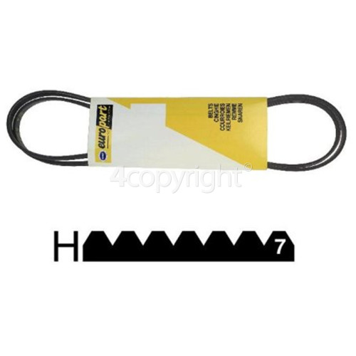 Brandt Poly-Vee Drive Belt - 1965H6