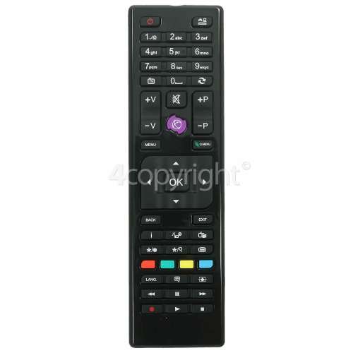 RC4875 Remote Control