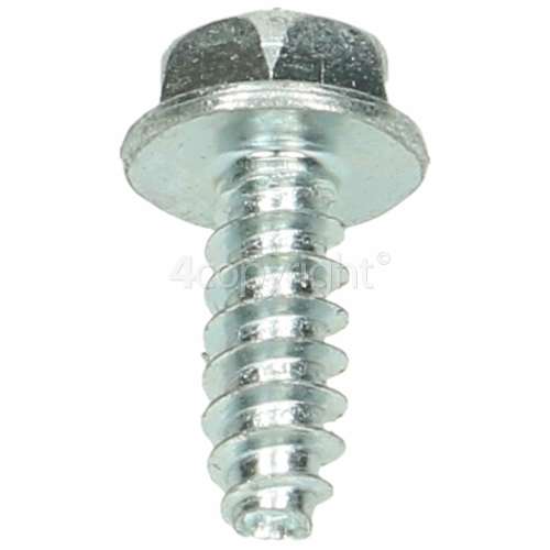 Stoves Screw Hinge 502500200016