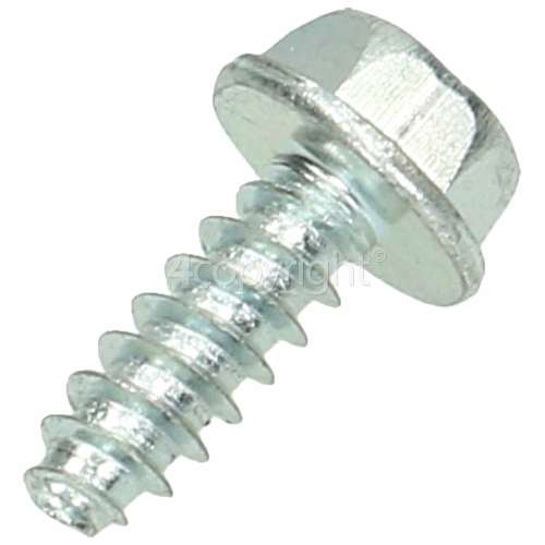 Stoves Screw Hinge 502500200016