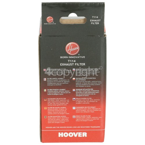 Hoover T114 Exhaust Filter