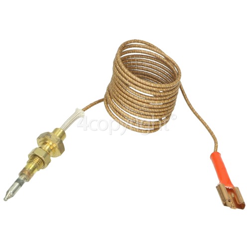 Baumatic BT16.7SS Thermocouple With Tag End : 800mm