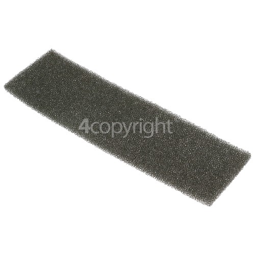 Delonghi PA170 Air Filter