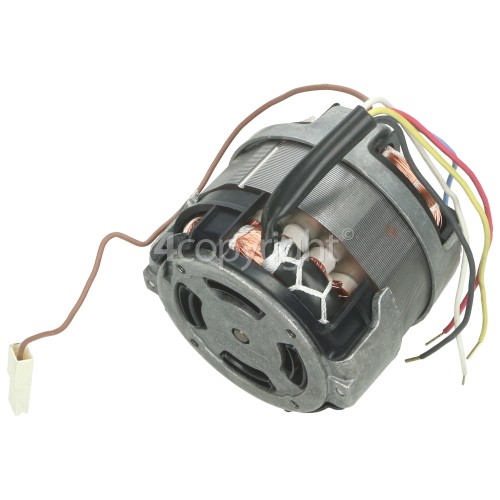 Bauknecht Motor