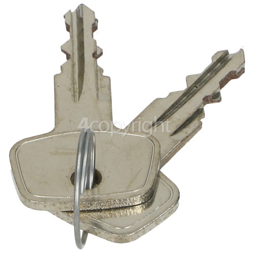 Lec Freezer Door Key Pair lecspares.co.uk