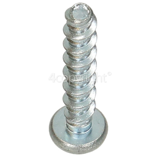 Karcher Screw