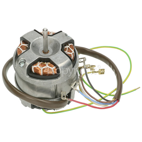 Hotpoint Motor