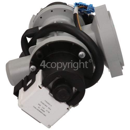 LG F1403FD Double Drain Pump & Filter Assembly : 2 Leile Changzhou BPX2-112 30W Pumps