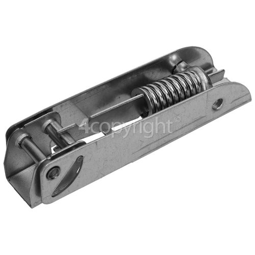 Raymond CFA100A+ Hinge (with Spring)