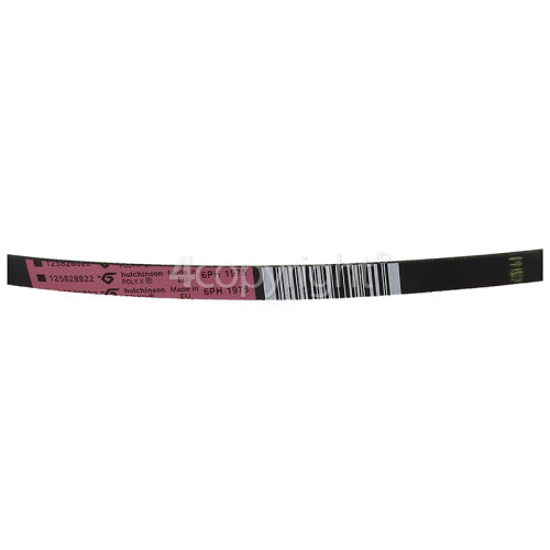 Proline Poly-Vee Drive Belt - 1975H7