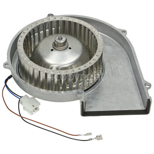 Caple WDI1212 Dryer Motor