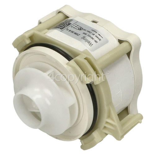 Brushless Pump Motor