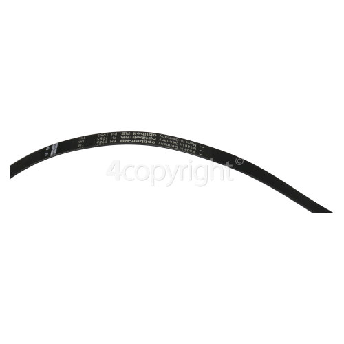 Hoover Drive Belt