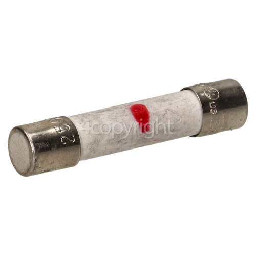 Samsung Fuse Cartridge : 10A 250V Slow-blow