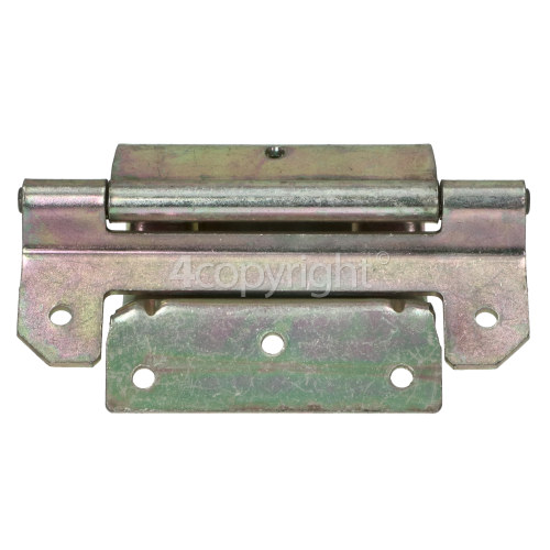 Baumatic Door Hinge