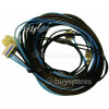 Hotpoint BWD 129 Wiring