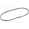 Beko Poly-Vee Drive Belt - 1244J5PJE (1244J5)