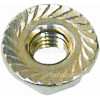 Excellent Iron Nut