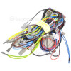 Tricity Bendix Use DST1560117051 Harness Complete