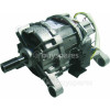 Neckermann Motor Assembly