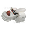Blower Assembly LG