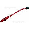 New World Red Neon