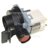 John Lewis Drain Pump 50HZ