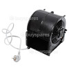 RCS100CHSTSS Motor