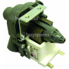 CZ51065 Drain Pump