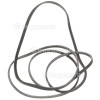 Hotpoint Poly-Vee Drive Belt - 752J3