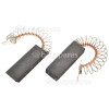 Brosse En Carbone