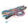 Mora Wiring Harness