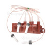 Aspen AAP10FRK Gas Ignitor