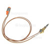 Delonghi Burner Thermocouple 400mm