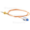 Kingswood Thermocouple 520mm