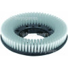 Numatic TTB-4552 280mm Nyloscrub Brush