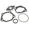 Flymo Maxi Trim 430 Type II Engine Gasket Kit