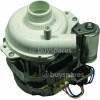 Whirlpool Motor-spray