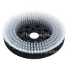 Numatic 280mm Octo Nyloscrub Brush