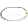 Electrolux Gasket Porthole Door