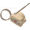DeLonghi Thermostat