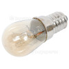 CIFF5012 Lamp Bulb When Nil S'Sede To Alternate.