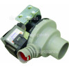 Baumatic BDW45.2 Drain Pump Assembly