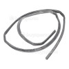 Hotpoint Door Seal