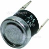 DeLonghi Thermostat
