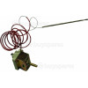 Bauknecht BBSH 3000 BR Thermostat